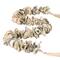 Hello Honey® 4ft. Oyster Shell Garland with Raffia Tassels